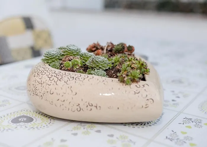 Mate Maison d'hôtes 3*